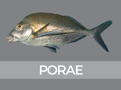 porae-958